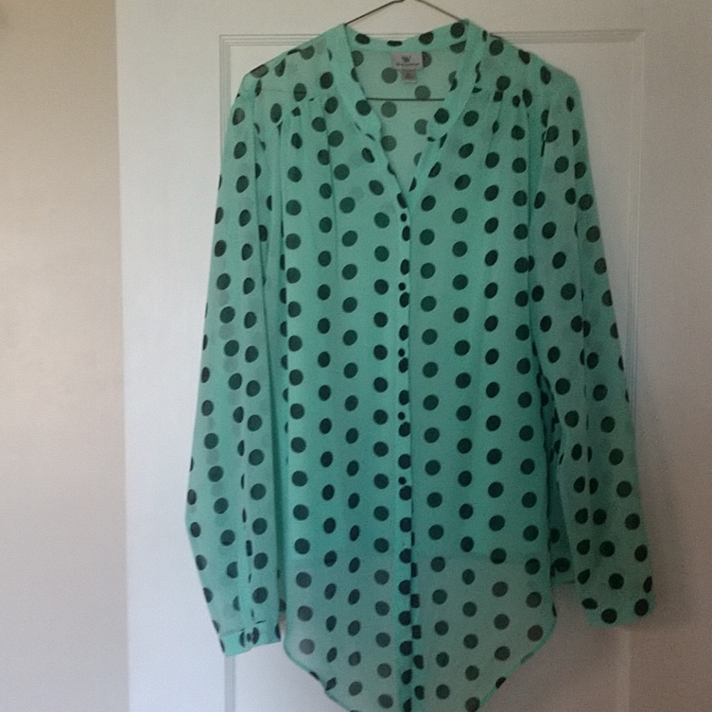 Worthington Blouse